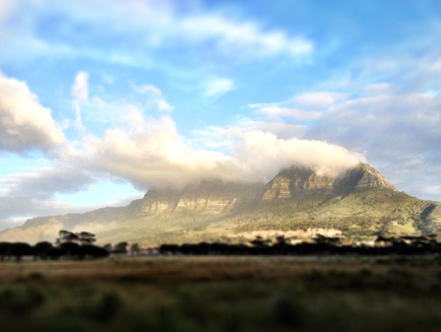 rondebosch-common-with-table-mountain1